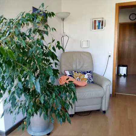 아파트 Ferienwohnung Vogtlin *