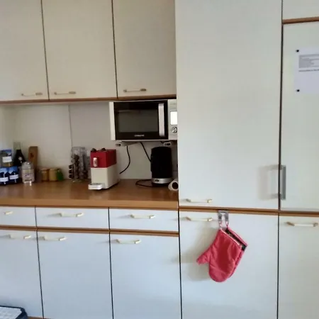 Ferienwohnung Vogtlin *